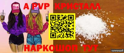 jwh Кингисепп