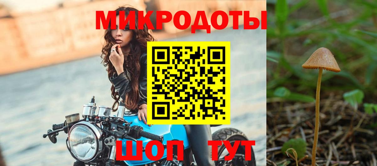 Галлюциногенные грибы Magic Shrooms  Вход с VPN  Касимов 